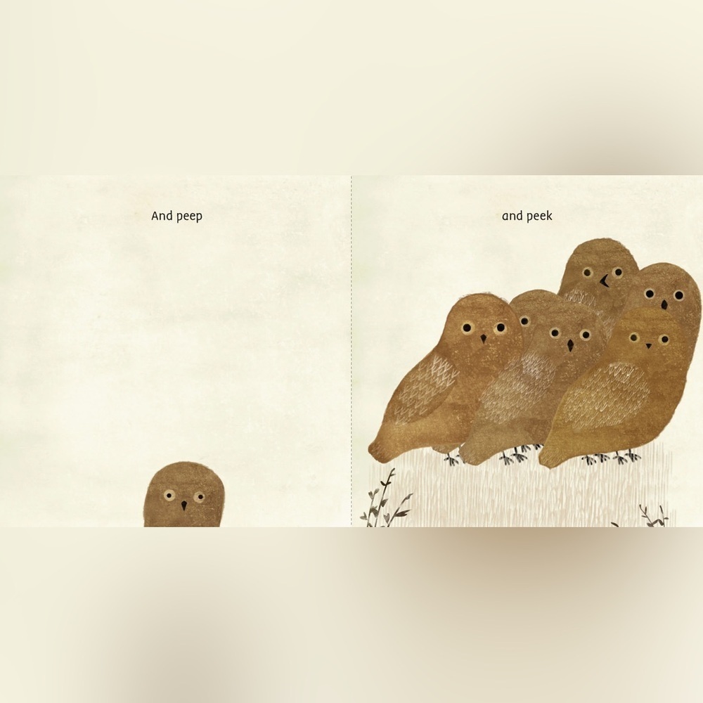We All Play by Julie Flett Hardcover Book​ - Picture 6 of 14